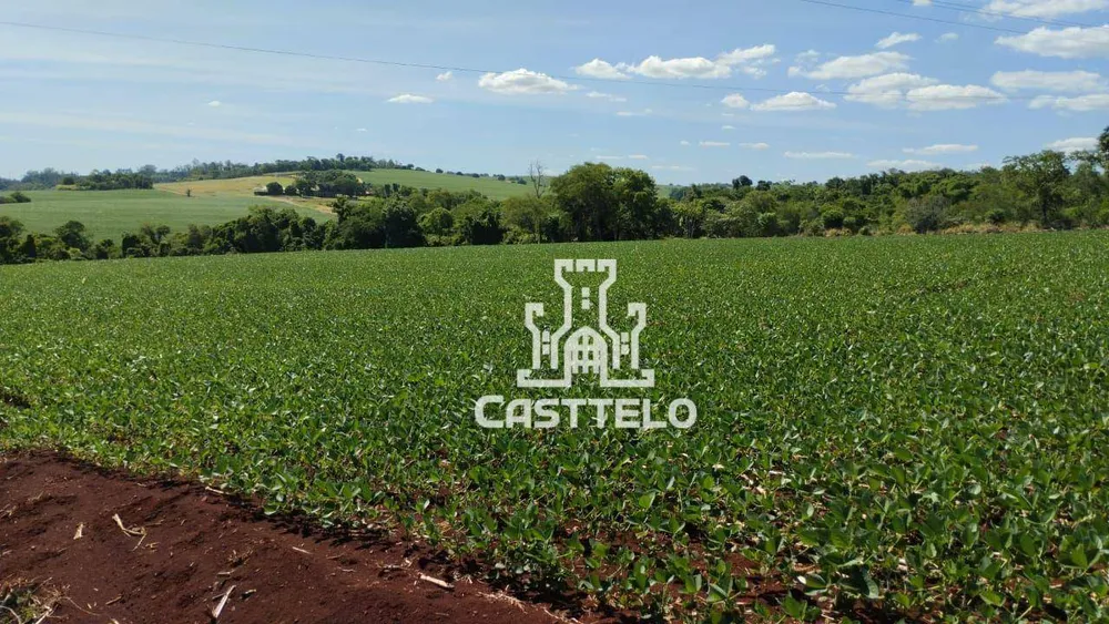 Terreno, 5 hectares - Foto 4