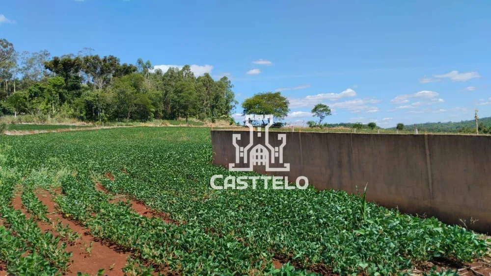 Terreno, 5 hectares - Foto 11