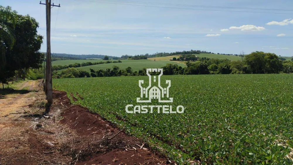 Terreno, 5 hectares - Foto 6