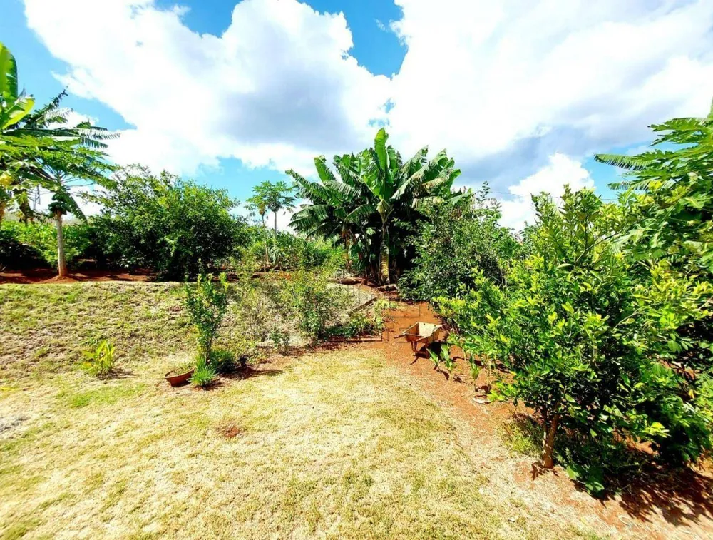 Chácara, 4 quartos, 1000 m² - Foto 2