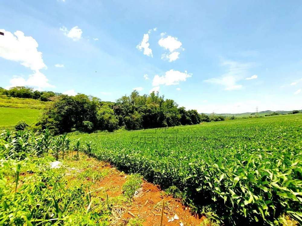 Sítio, 2 quartos, 10 hectares - Foto 1