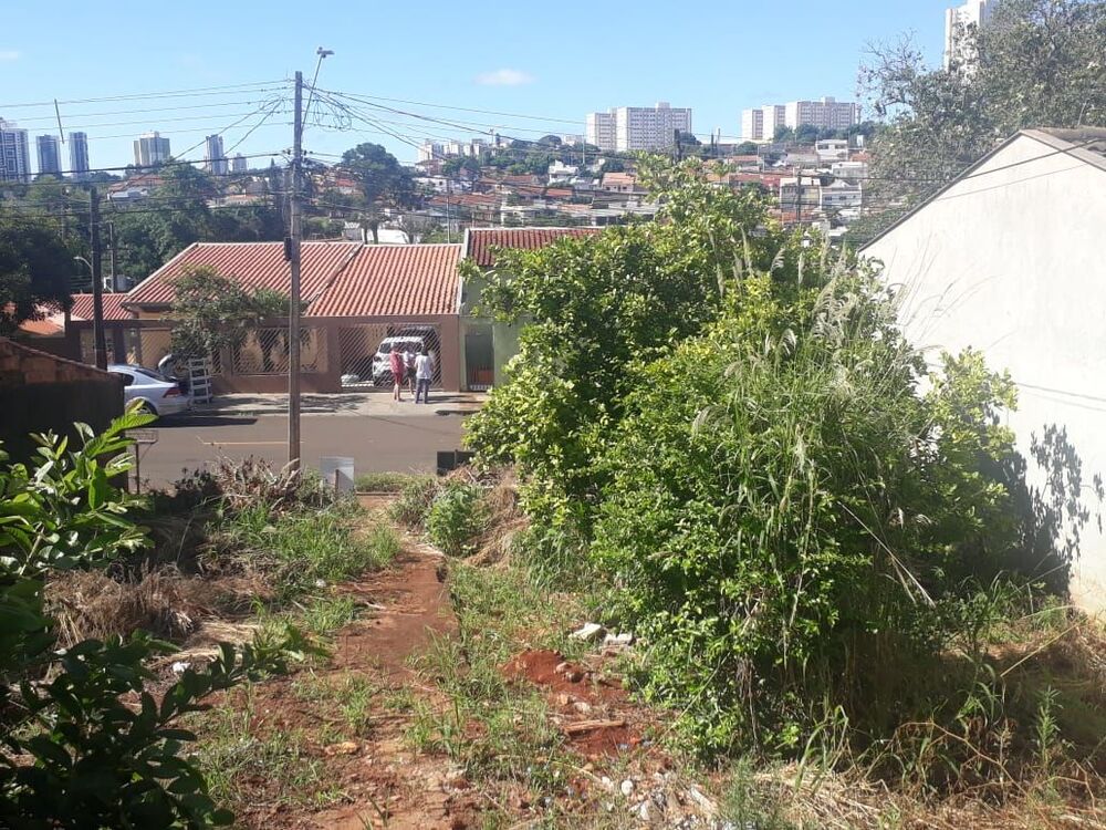 Terreno, 250 m² - Foto 4