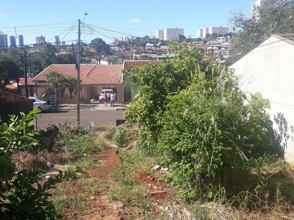 Terreno, 250 m² - Foto 11