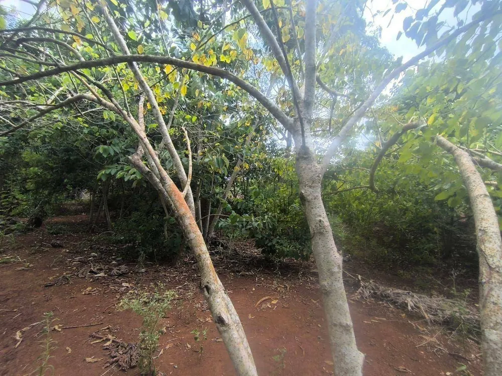 Chácara, 1 quarto, 3375 m² - Foto 11