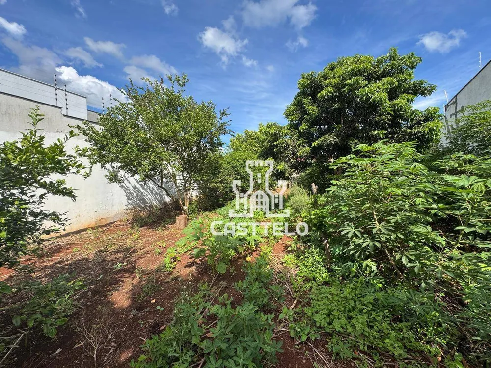 Terreno, 254 m² - Foto 6