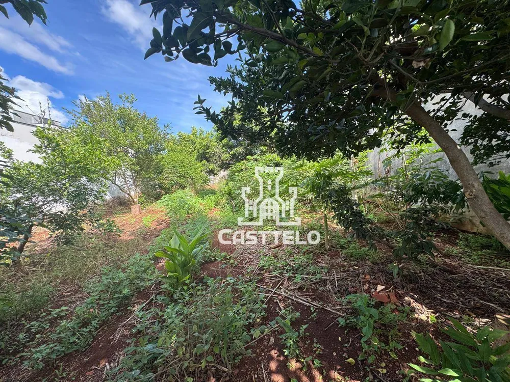 Terreno, 254 m² - Foto 5