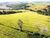 Sítio, 9 hectares - Foto 1