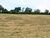 Sítio, 9 hectares - Foto 2