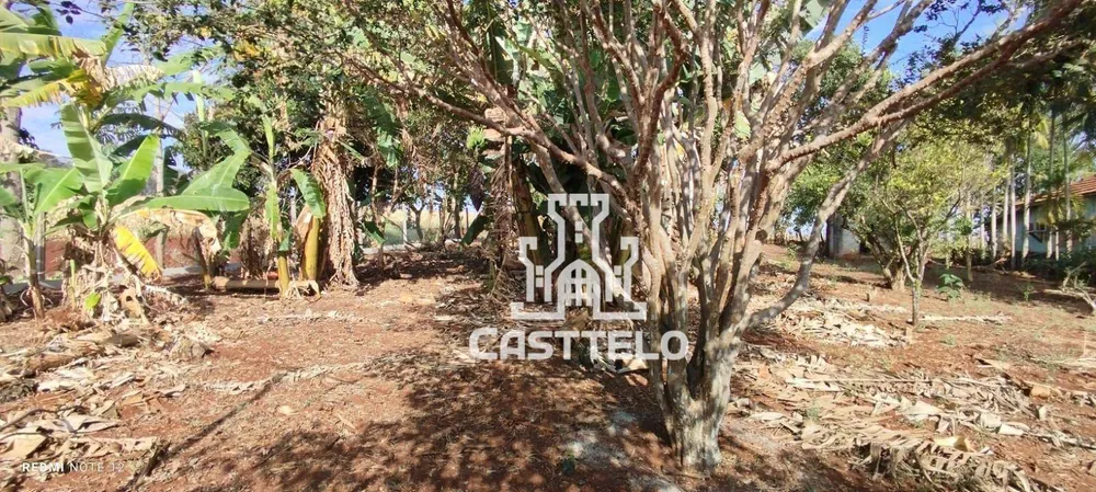 Chácara, 3 quartos, 2228 m² - Foto 6
