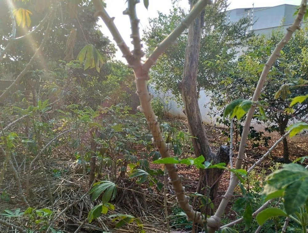 Terreno, 250 m² - Foto 4