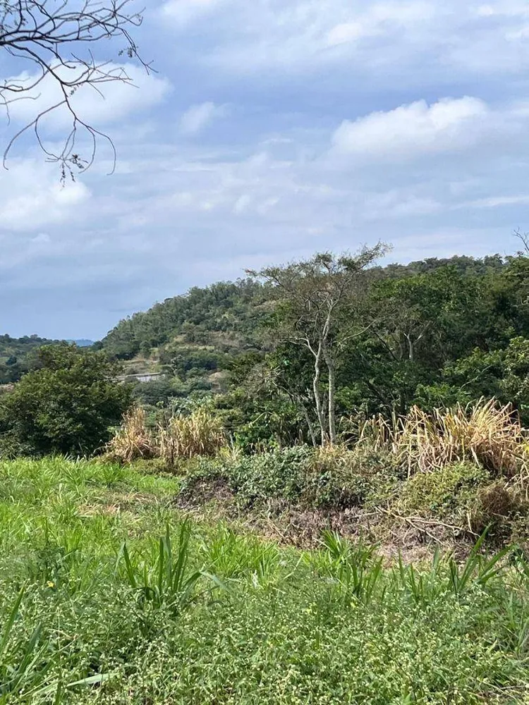 Loteamento e Condomínio, 5000 m² - Foto 8