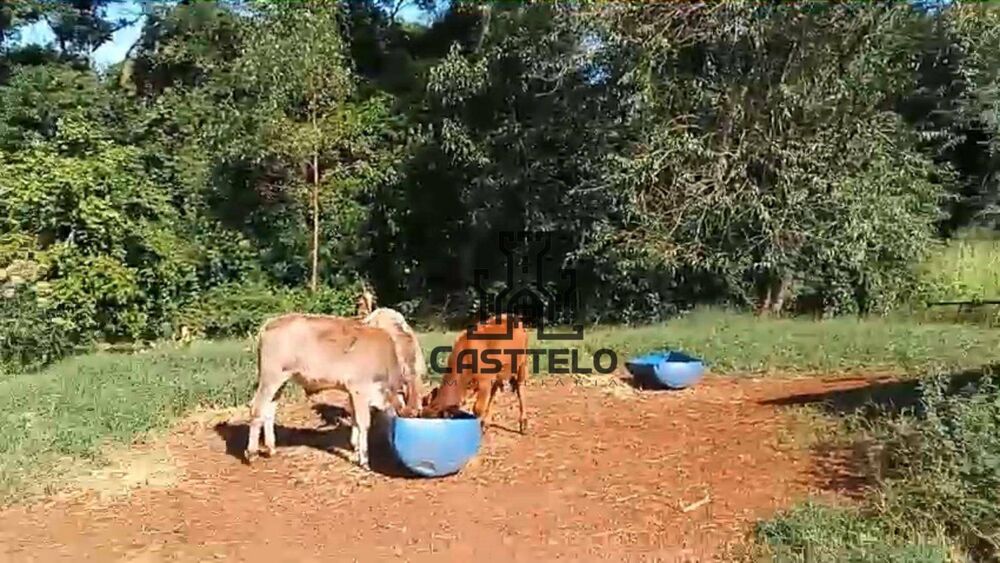 Chácara à venda com 3 quartos, 160m² - Foto 2