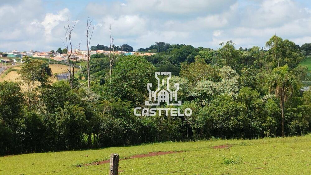 Sítio, 7 quartos, 5 hectares - Foto 4