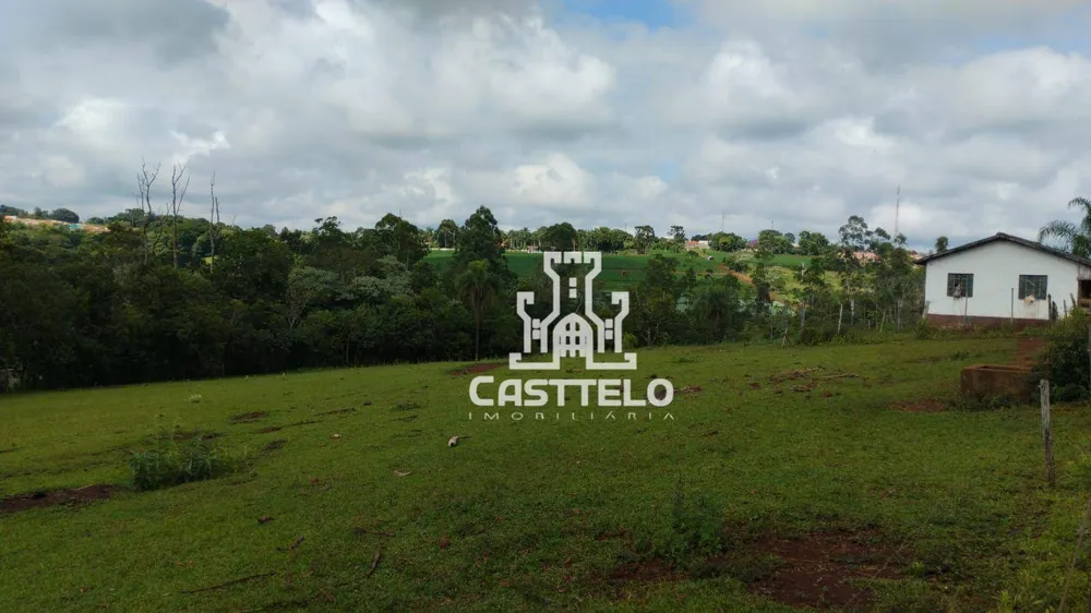 Sítio, 7 quartos, 5 hectares - Foto 7