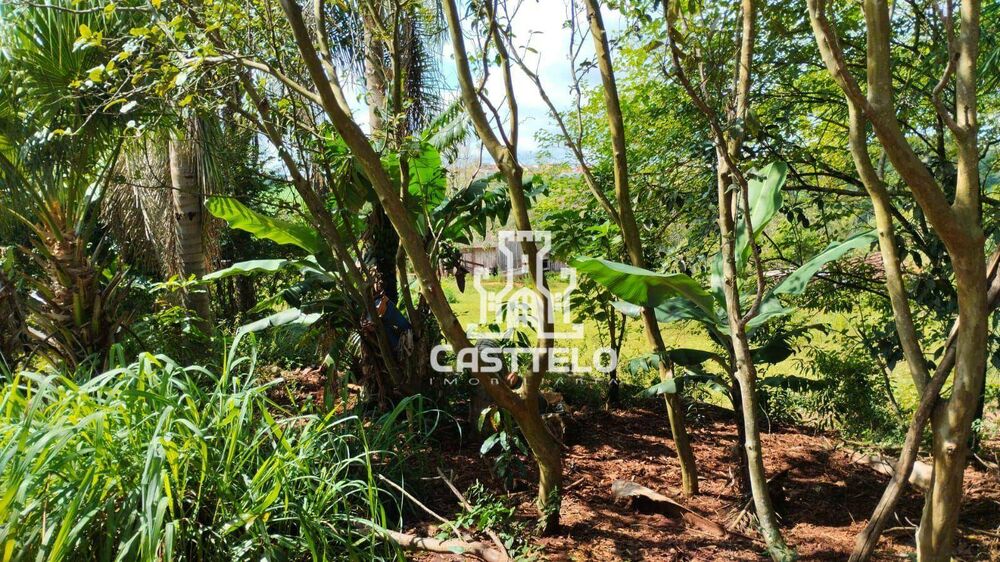 Sítio, 7 quartos, 5 hectares - Foto 2