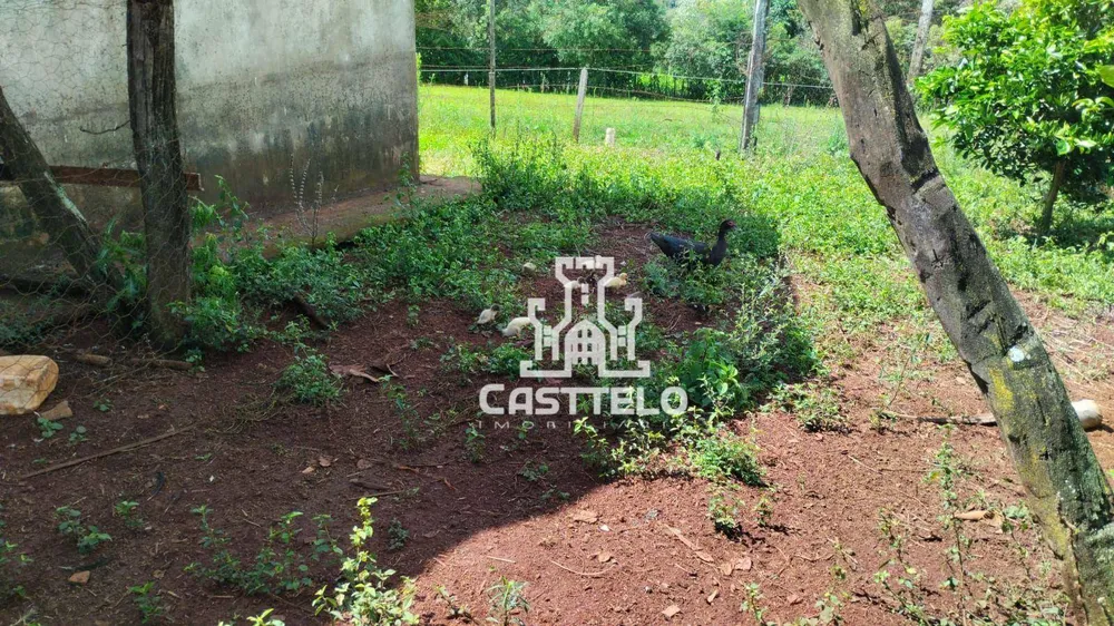 Sítio, 7 quartos, 5 hectares - Foto 11