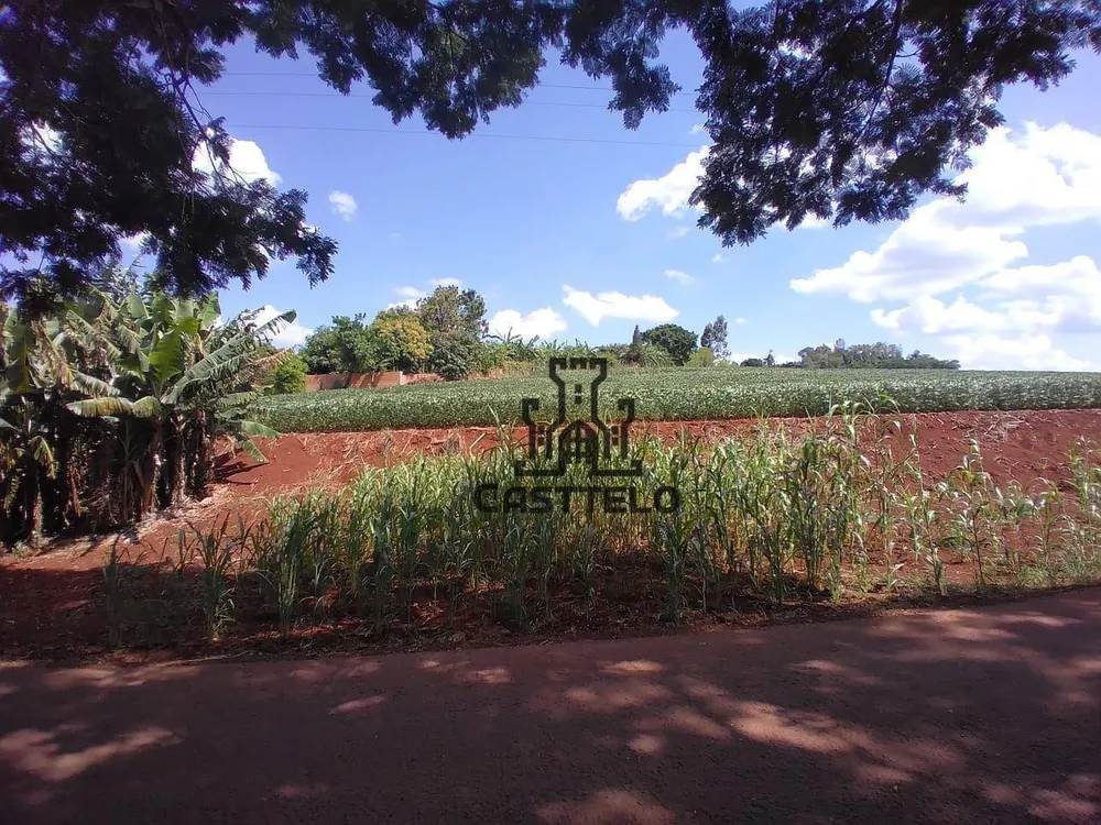 Sítio, 1 quarto, 12 hectares - Foto 1