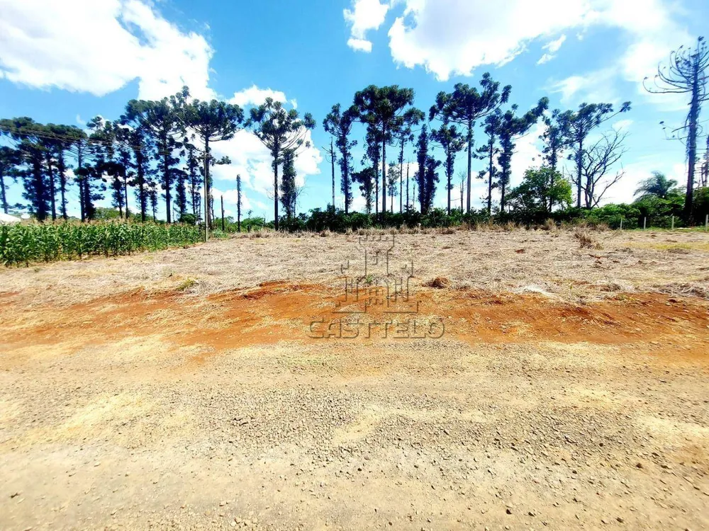 Chácara, 1 quarto, 1000 m² - Foto 6