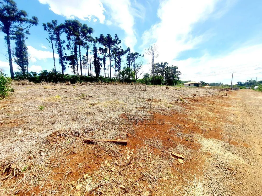 Chácara, 1 quarto, 1000 m² - Foto 10