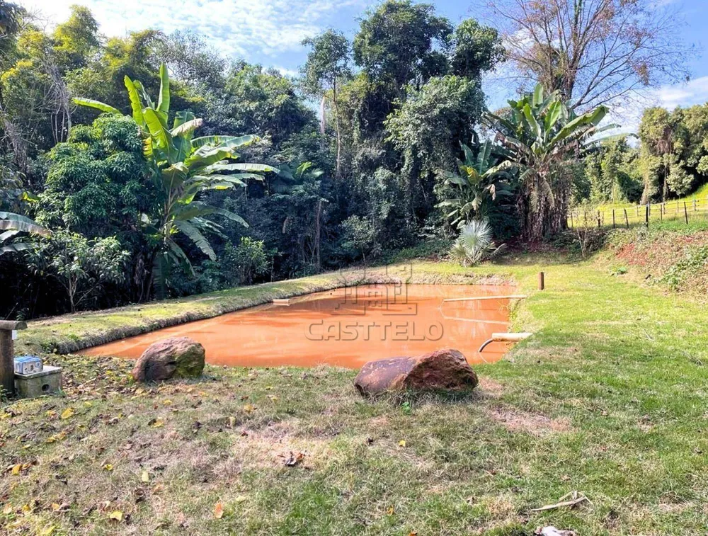 Fazenda, 5 hectares - Foto 7