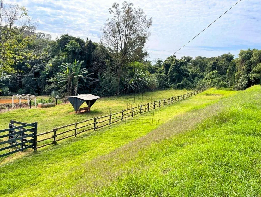 Sítio, 3 quartos, 5 hectares - Foto 7
