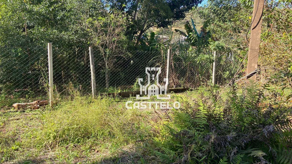 Chácara, 3 quartos, 5000 m² - Foto 13