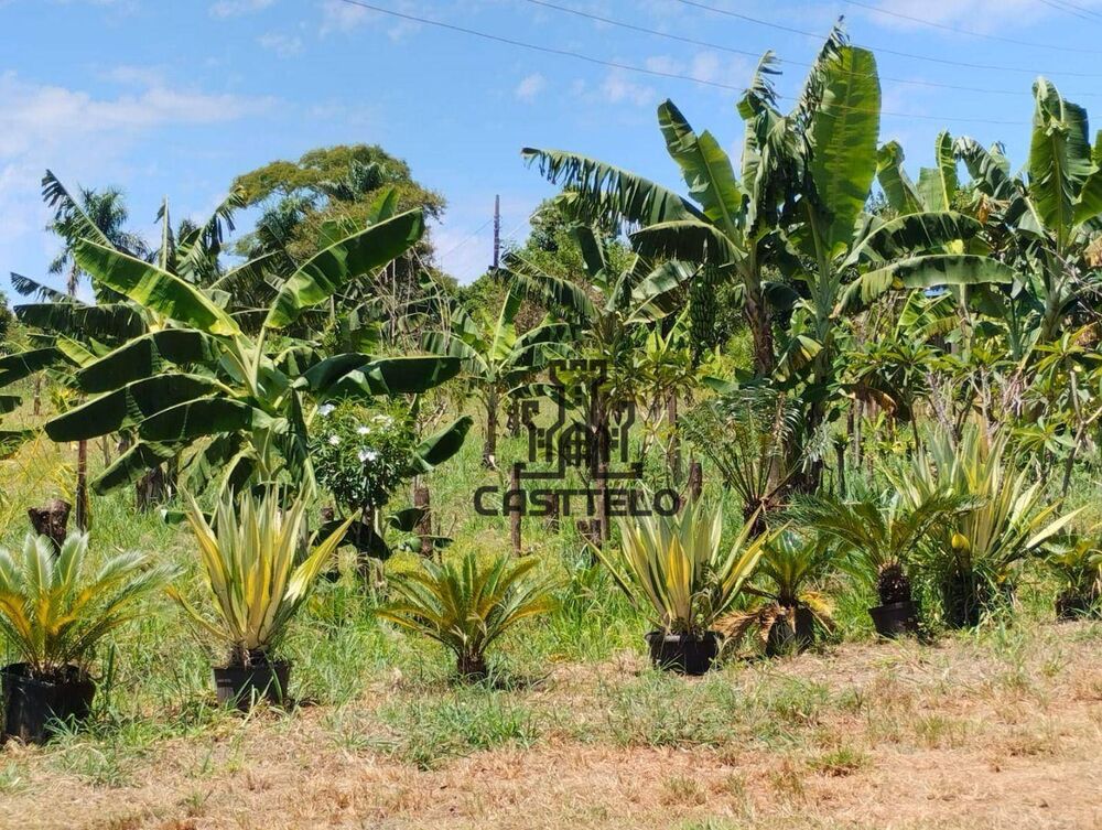 Chácara à venda com 3 quartos, 5065M2 - Foto 4