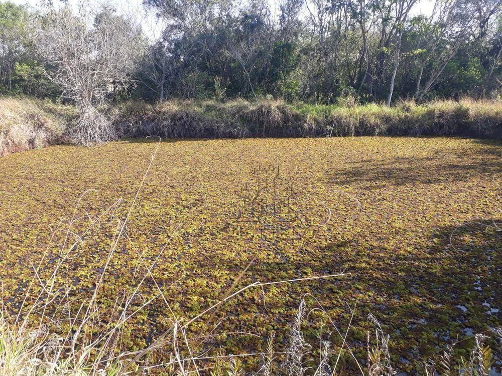 Sítio, 2 quartos, 7 hectares - Foto 12