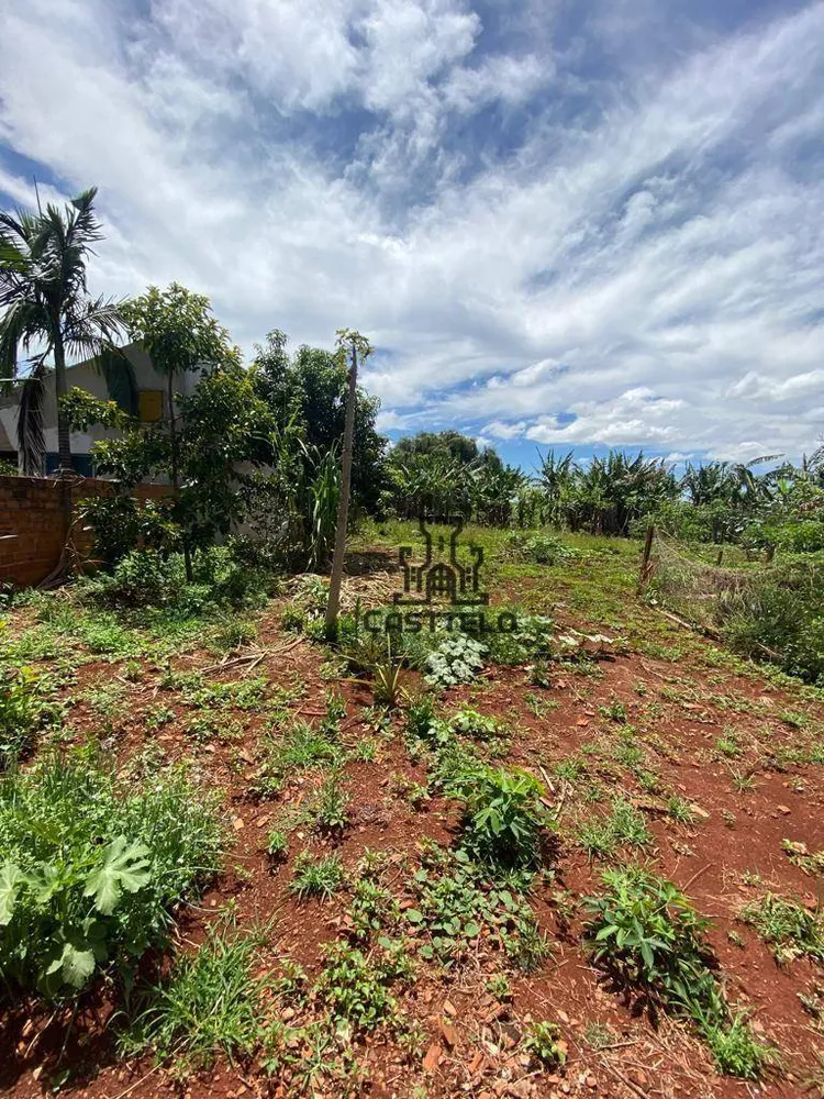 Chácara, 5 quartos, 1300 m² - Foto 10