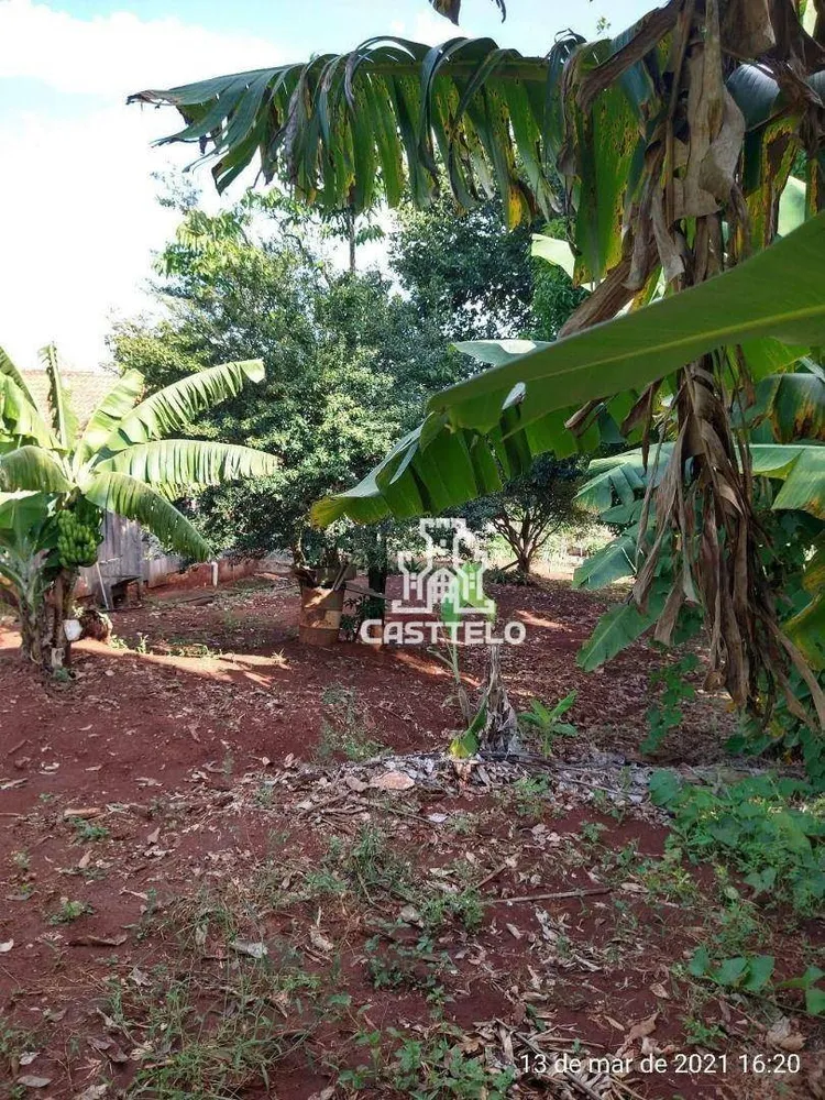 Sítio, 1 quarto, 7 hectares - Foto 2
