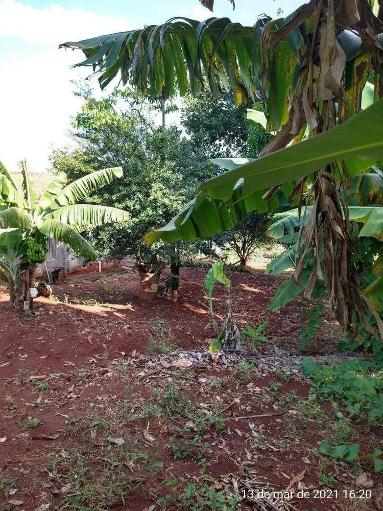 Sítio, 1 quarto, 7 hectares - Foto 4