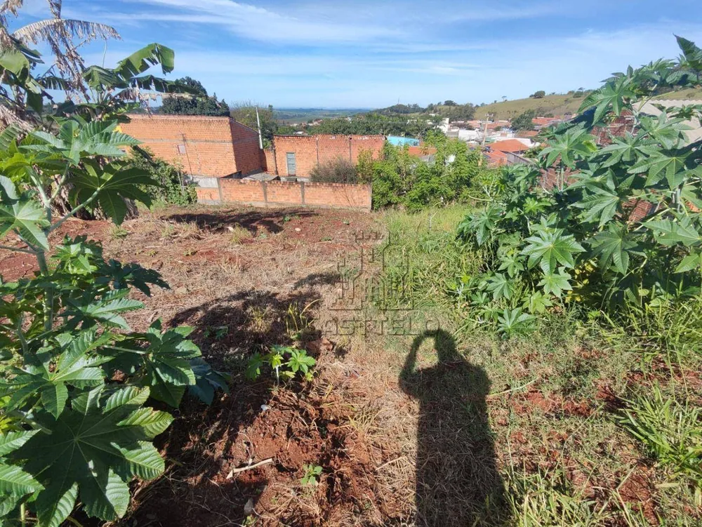 Terreno, 311 m² - Foto 3