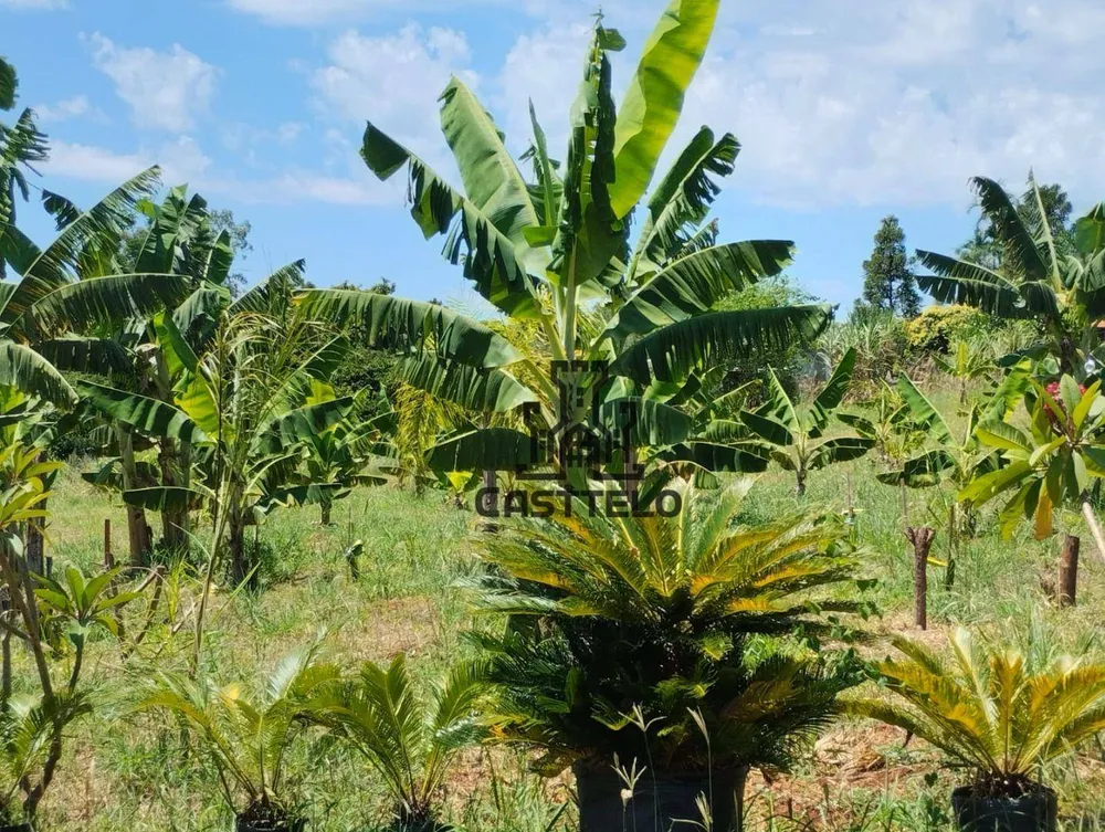 Chácara, 3 quartos, 2 hectares - Foto 12