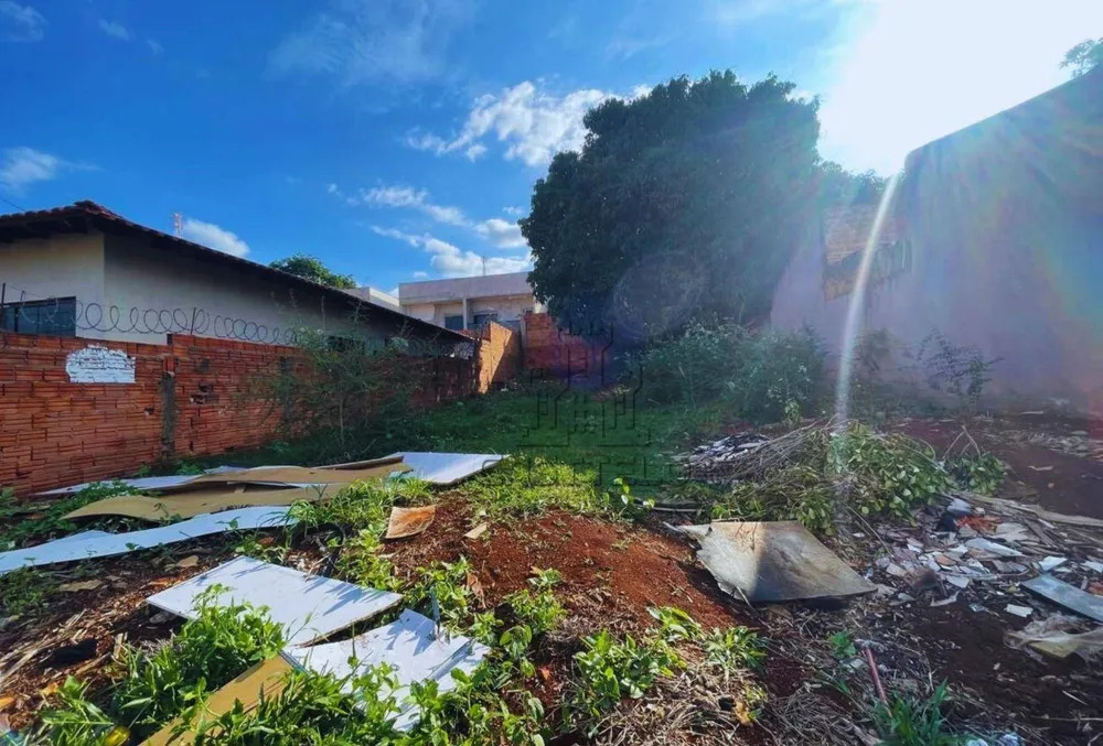 Terreno, 250 m² - Foto 2