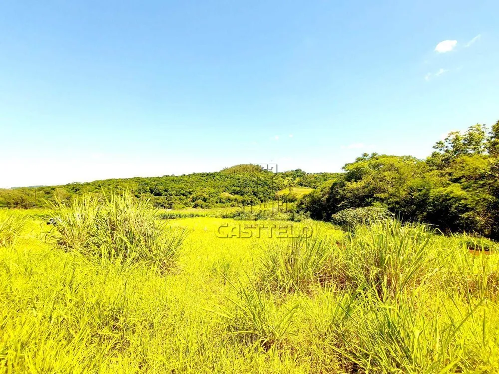 Chácara, 1 quarto, 2 hectares - Foto 4