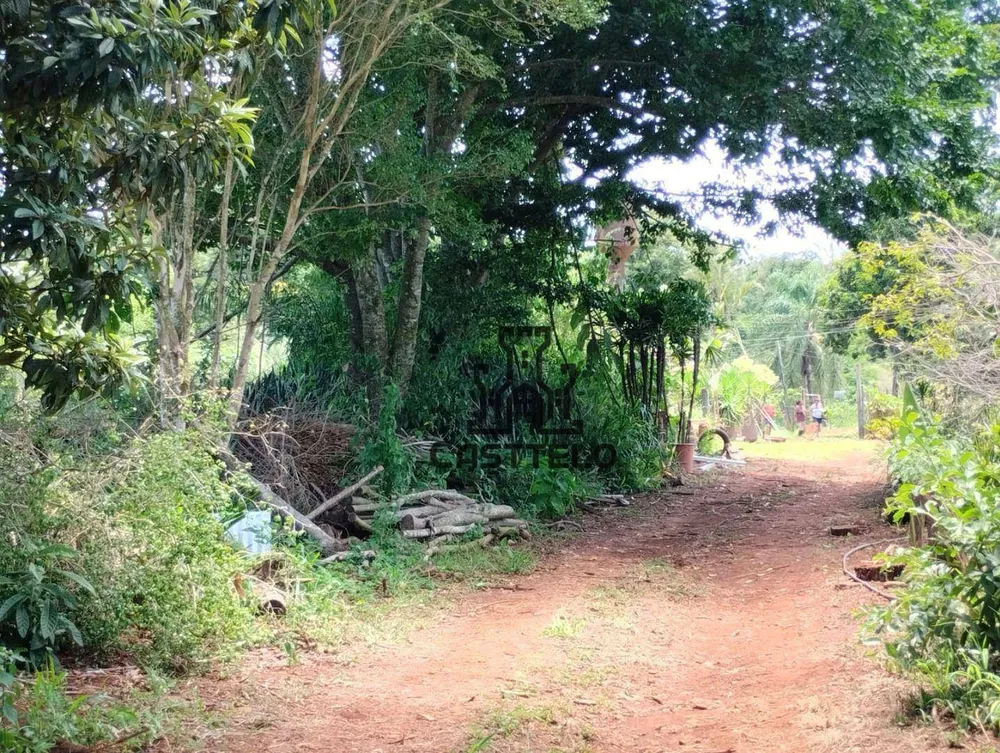 Chácara, 5000 m² - Foto 4