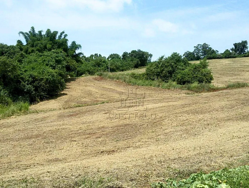Sítio, 1 quarto, 9 hectares - Foto 4