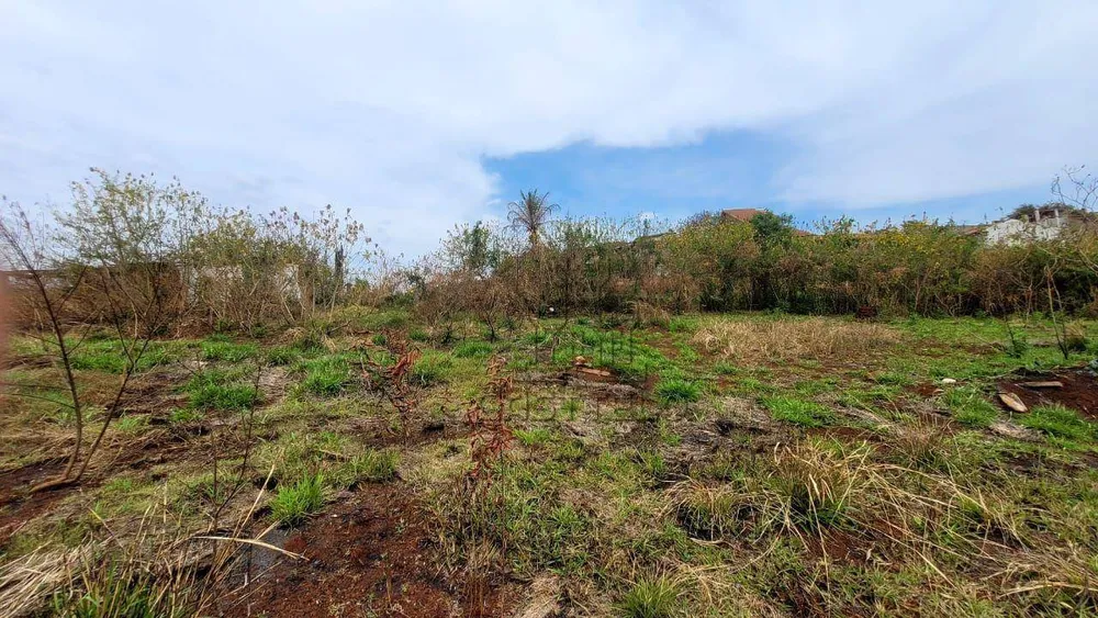 Chácara, 1 quarto, 3 hectares - Foto 1