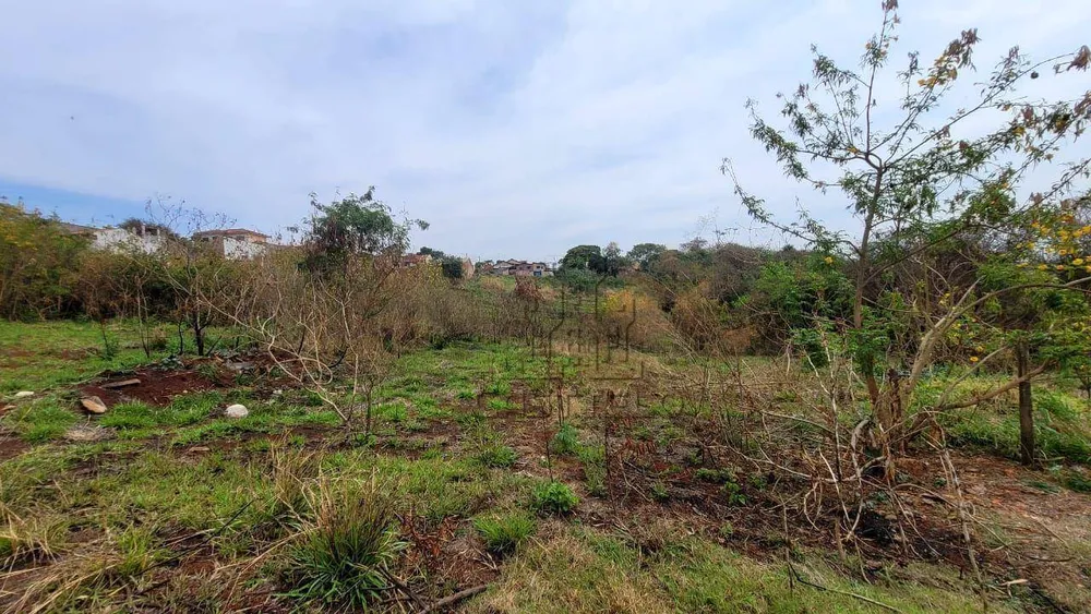 Chácara, 1 quarto, 3 hectares - Foto 4
