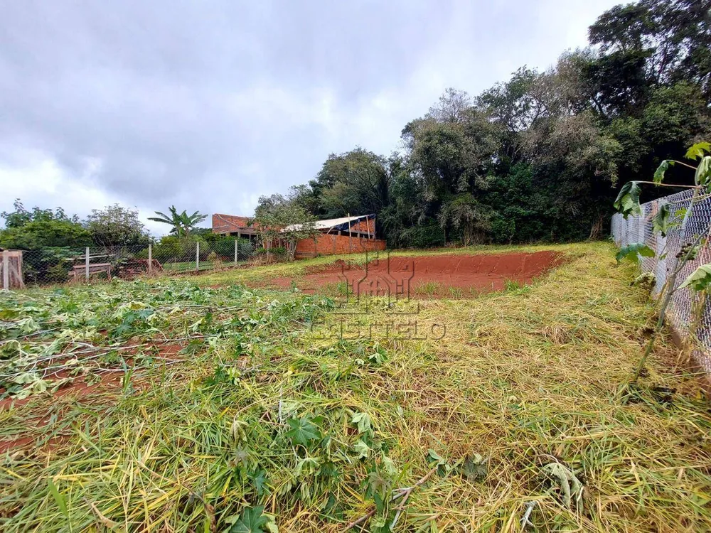Chácara, 1000 m² - Foto 4