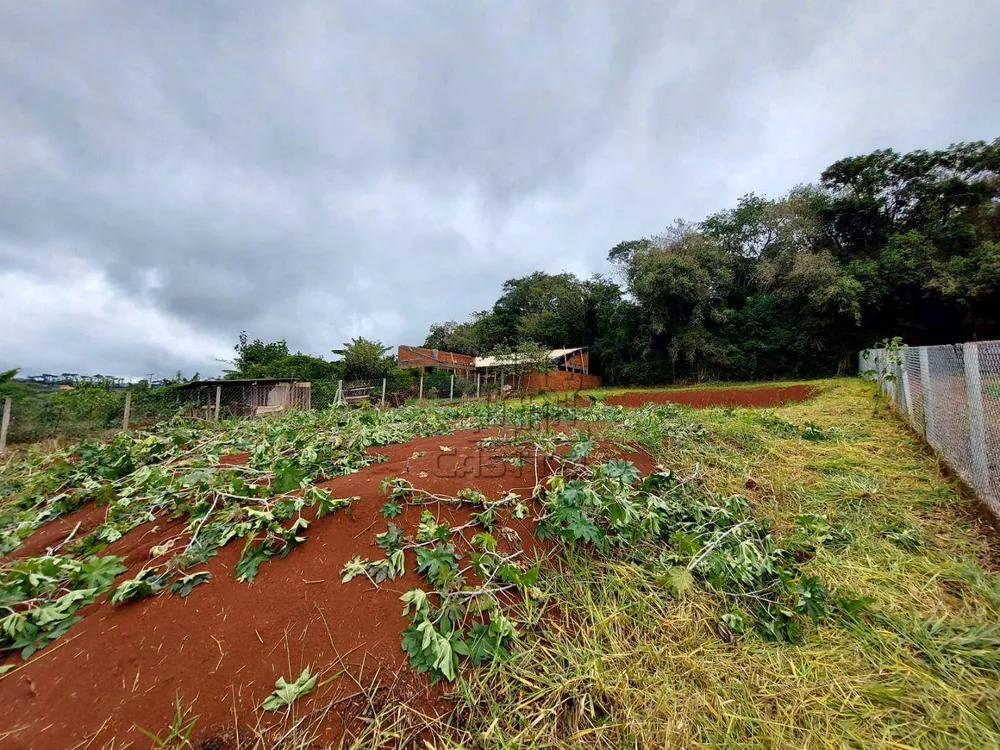 Chácara, 1000 m² - Foto 3