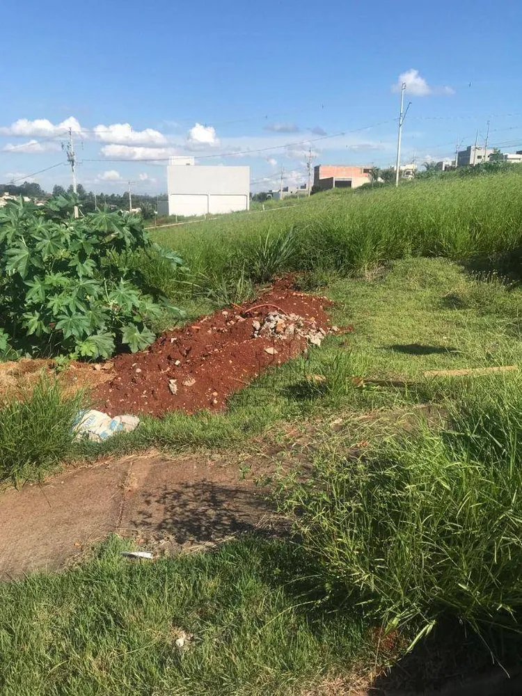 Terreno, 250 m² - Foto 2