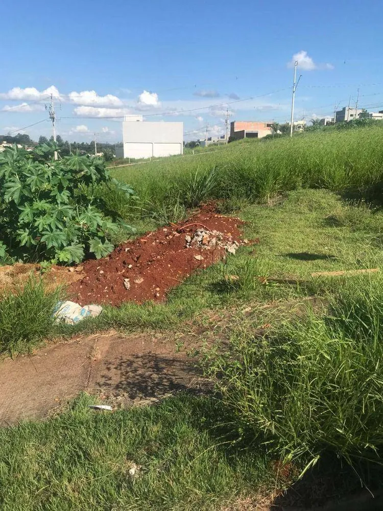 Terreno, 250 m² - Foto 6