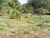Chácara, 2 hectares - Foto 2