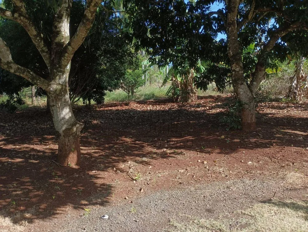Chácara, 2 quartos, 5000 m² - Foto 6