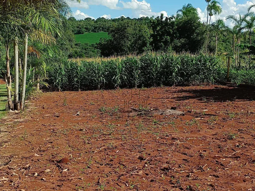 Chácara, 2 quartos, 5000 m² - Foto 1