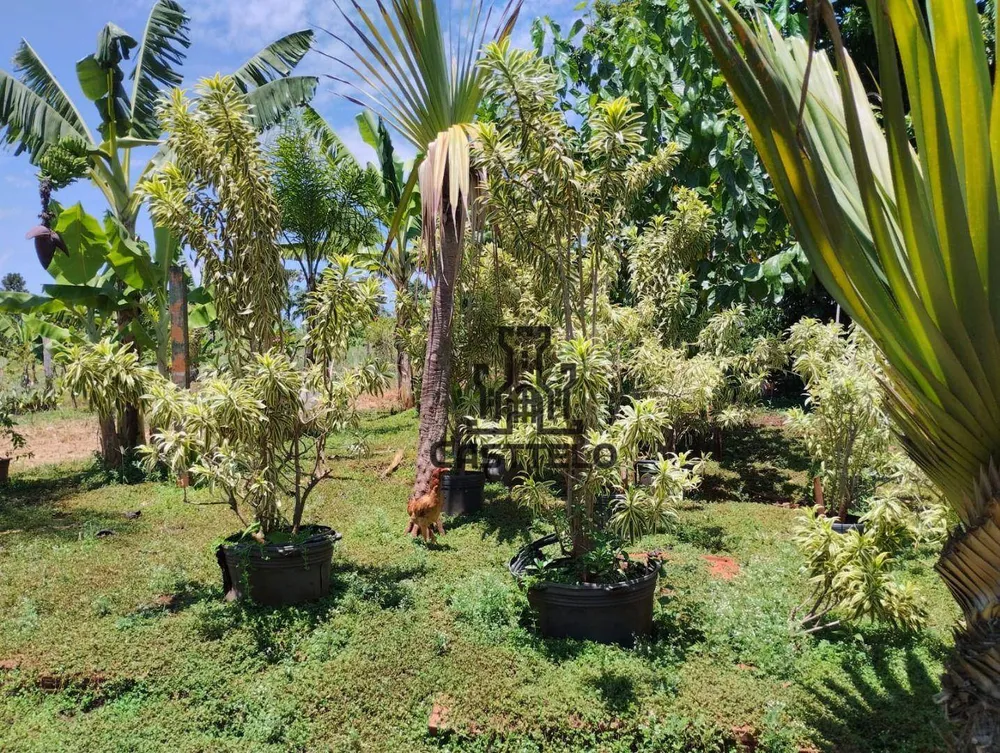 Chácara, 5050 m² - Foto 11