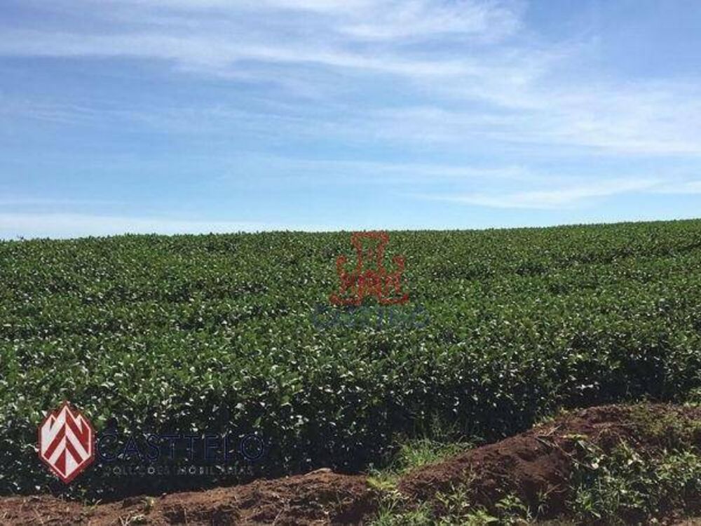 Sítio à venda, 27000M2 - Foto 2