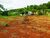 Chácara, 2 quartos, 5250 m² - Foto 2
