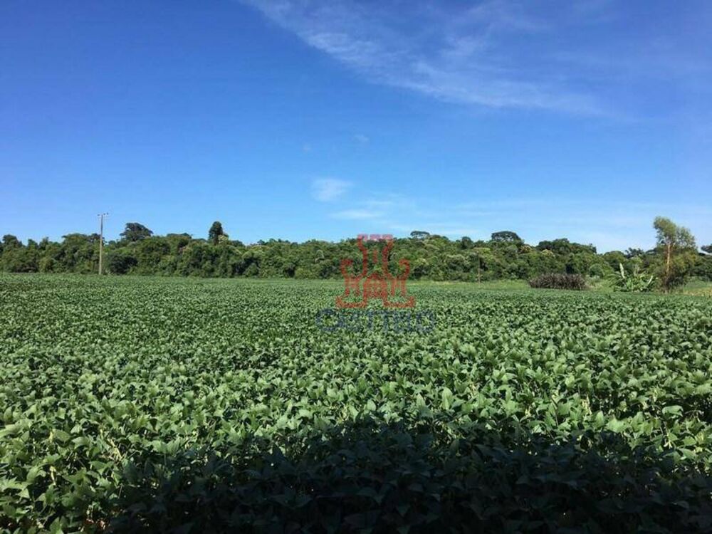 Sítio à venda com 3 quartos, 24200M2 - Foto 26
